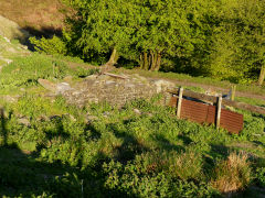 Blaencyffin Colliery tips, May 2013